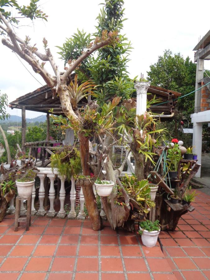San Agustín Hostal Loco Locombia المظهر الخارجي الصورة
